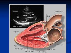 那些年我们错过的歌曲,那些年我们错过的日子