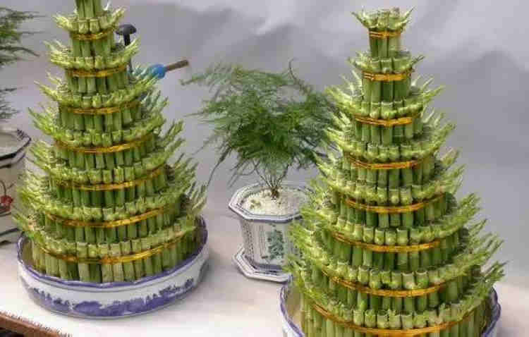 过年买什么鲜花摆家里好,春节家中摆满什么花寓意好