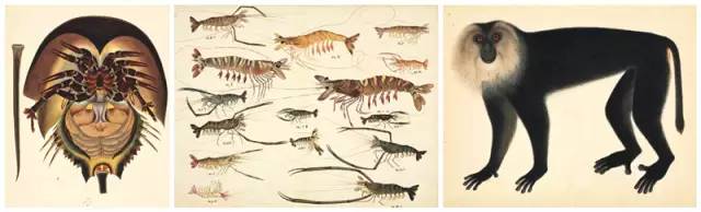 10本推荐的好书学生版,100本爆款书单