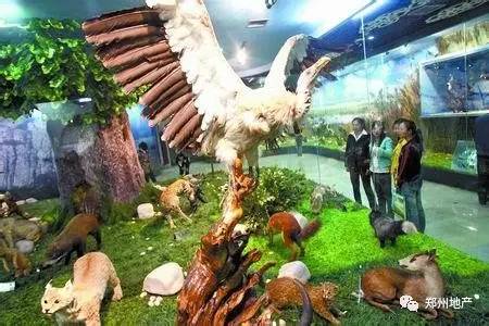 谁说郑州没有网红打卡地,郑州市没有好玩的地方