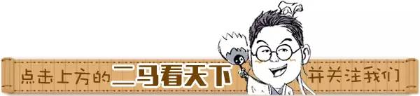 二马茶文化｜工夫红茶之九曲红梅