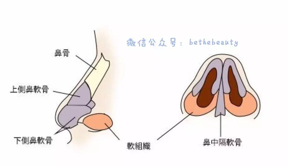 鼻子除了整容变挺还有什么办法,不想整容怎么让鼻子好看