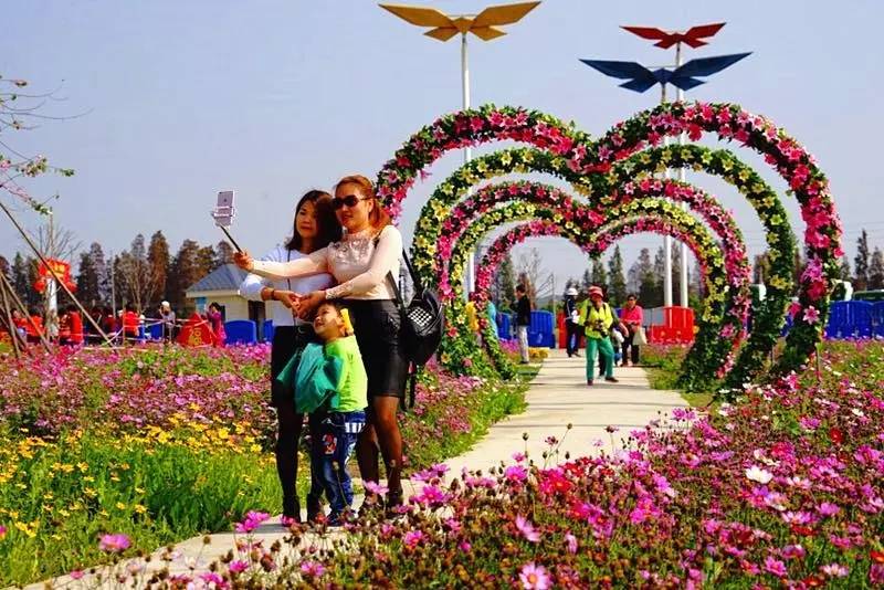 就在今日,百万鲜花盛放!南海这个“花花世界”等你来赏!