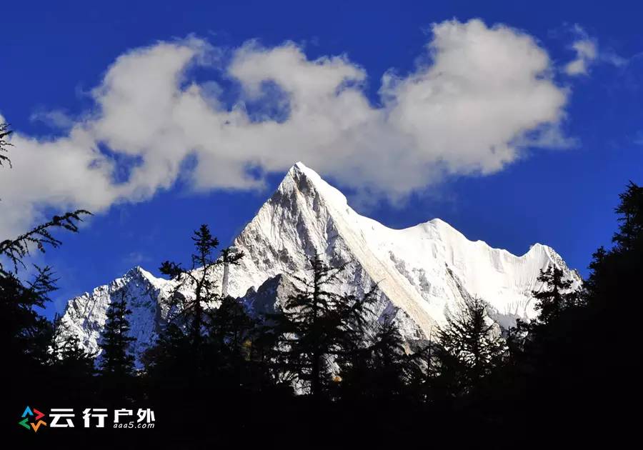 2019年成都自驾林芝看桃花,金川梨花赏花路线