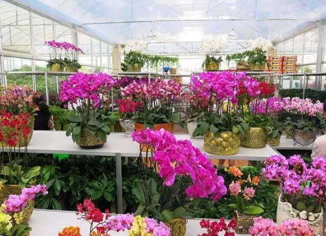 呕心整理！成都人年货采购地点最全攻略都在这！赶紧收藏！