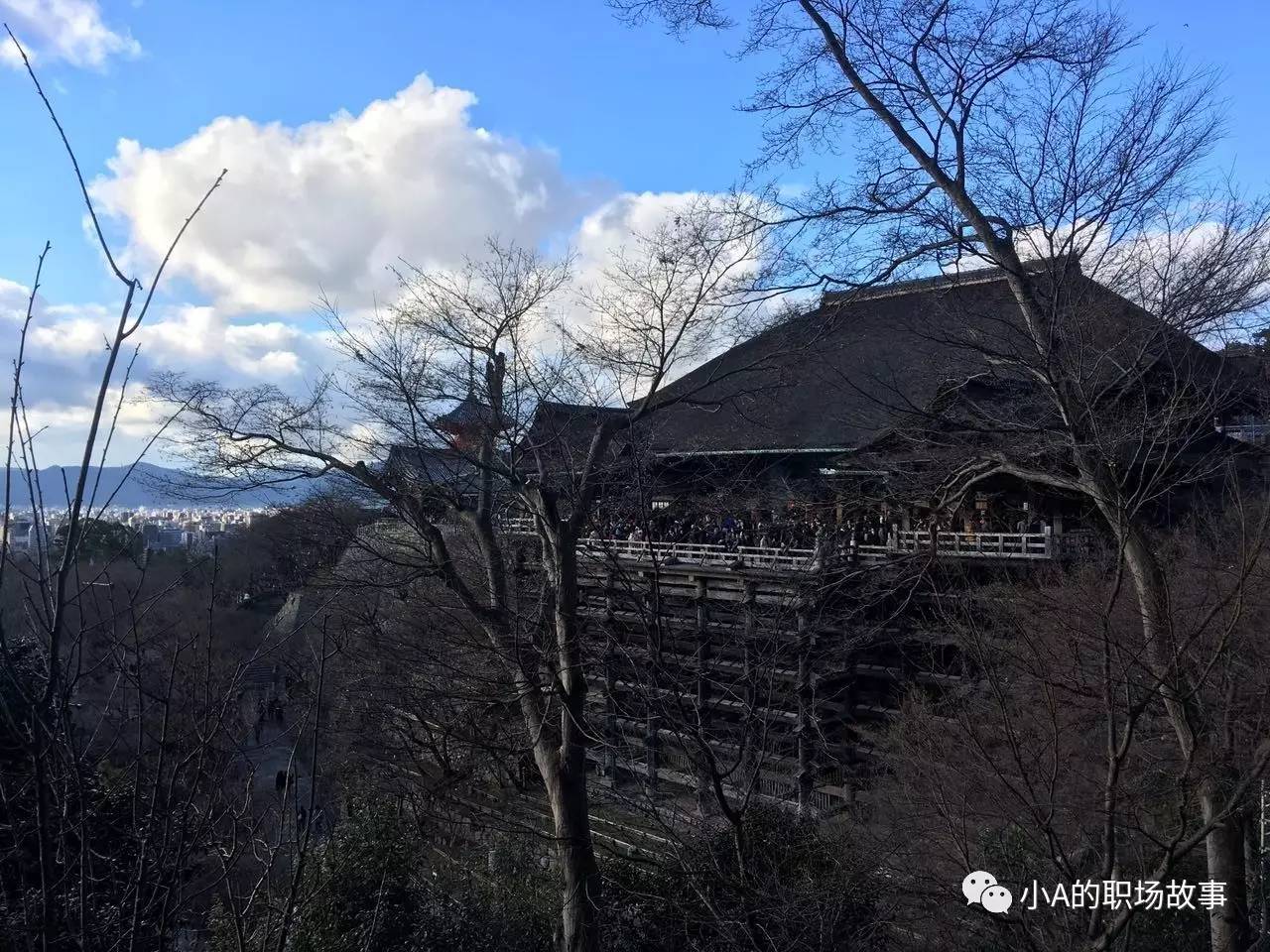 大阪京都五日游攻略大全,攻略318