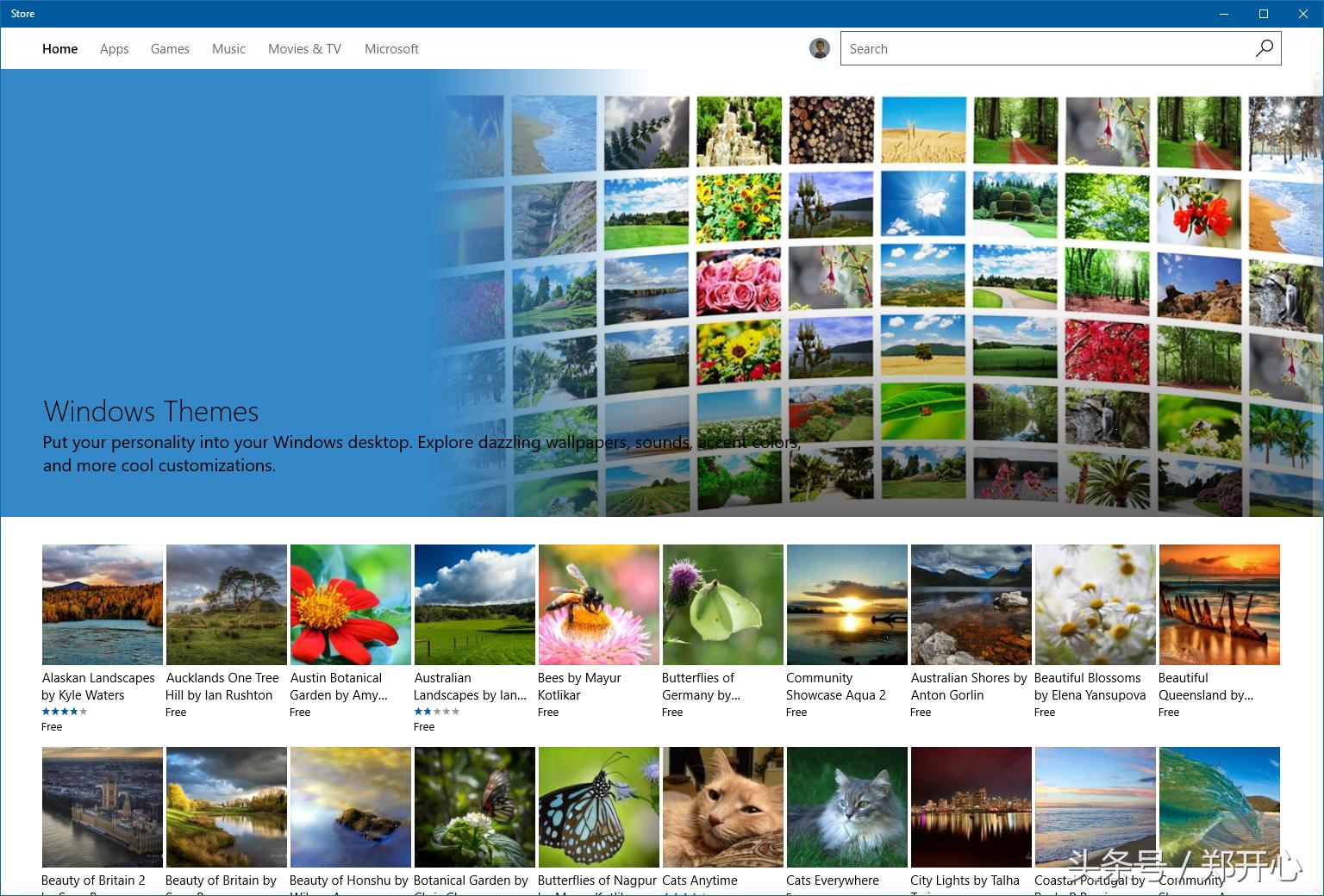 windowsinsider预览体验版,windows10insider是什么版本