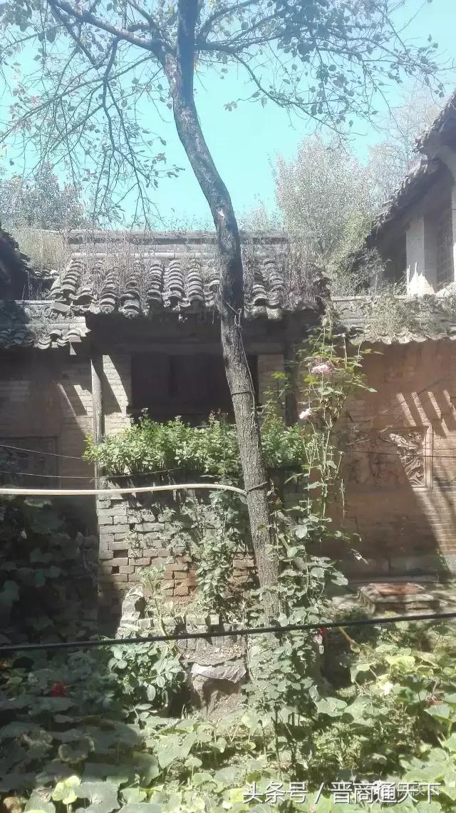 钟灵秀小说,钟灵秀视频