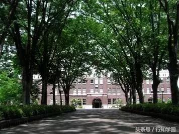 追着偶像的脚步,偶遇爱豆日剧