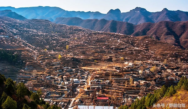 北京郊区房山蒲洼自驾游,房山野鹅旅游攻略