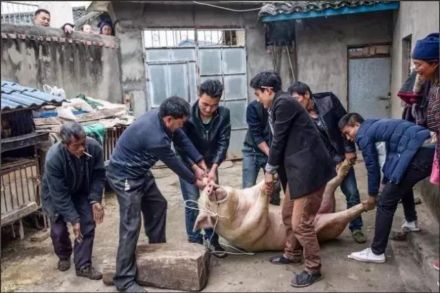 李劲松昭通,昭通李劲松