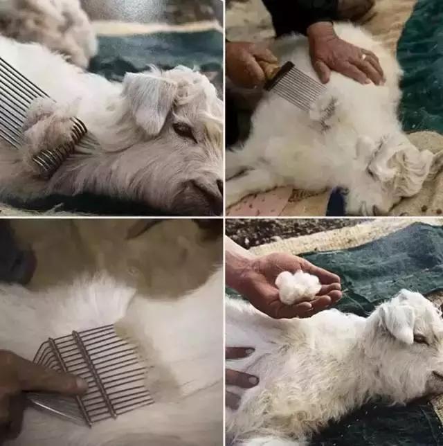 花五万块钱买一个包,花5万买一个包包会贬值嘛