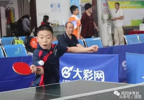 南阳十大热议新闻,南阳体育新闻