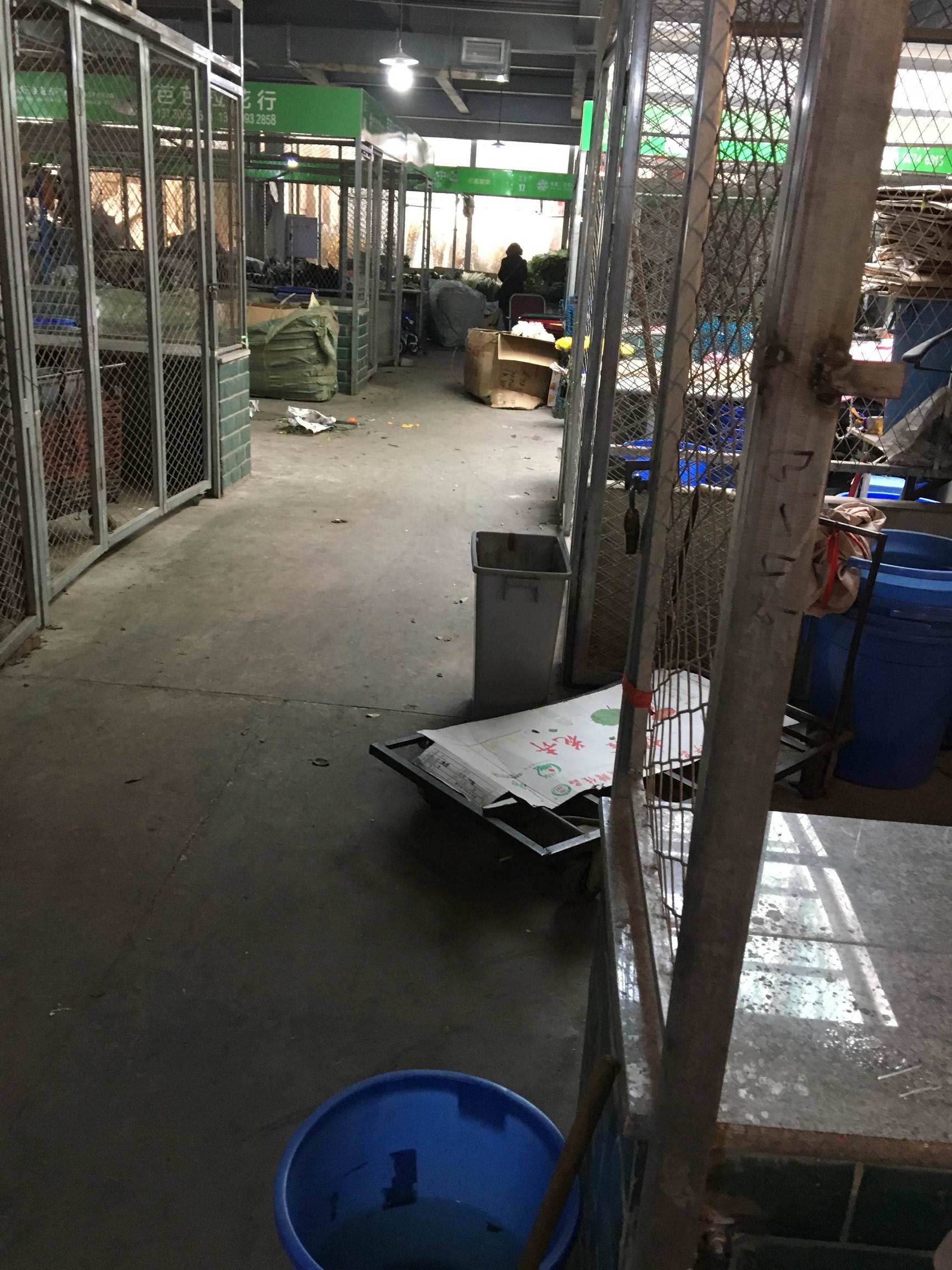 年宵花市探“鲜”记(一)之孤独的花大姐