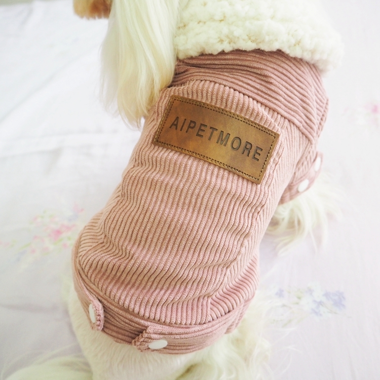 怎样分辨狗宝宝性格怎么样,怎么挑选好的狗宝宝