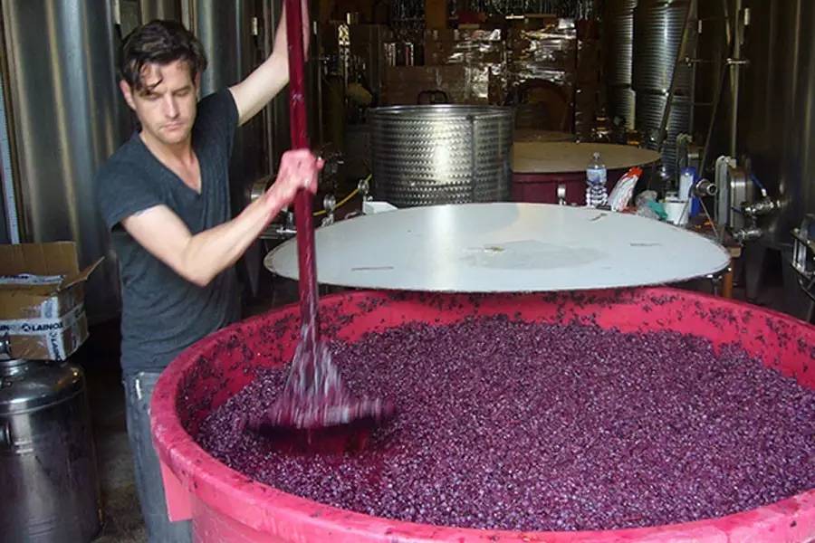 葡萄酒基础入门知识培训,怎样开始学习葡萄酒基础知识