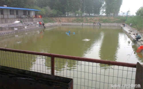 今年五福为什么那么多,今年五福哪个福最少