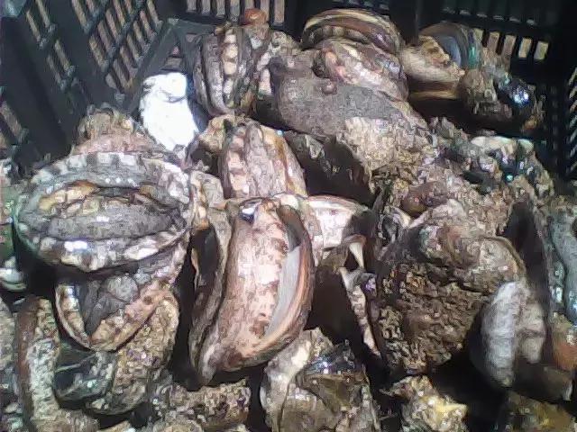 福建汀州土特产,福建零食特产有哪些