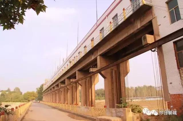 鎴戜负瑗勯槼楠勫偛姝屾洸,鎴戜负浣犺嚜璞篃涓轰綘楠勫偛