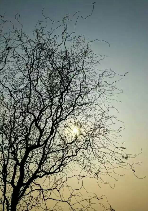 看完这些摄影作品点评，你的摄影技能会有大幅提升