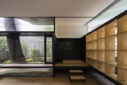 微观茶市丨古茶树安装GPS定位意义何在？