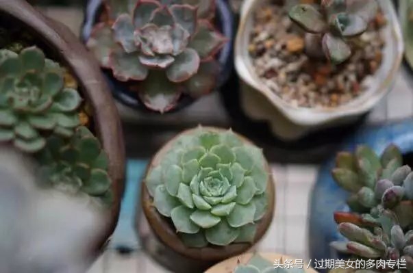 入坑一年小说,入坑一年