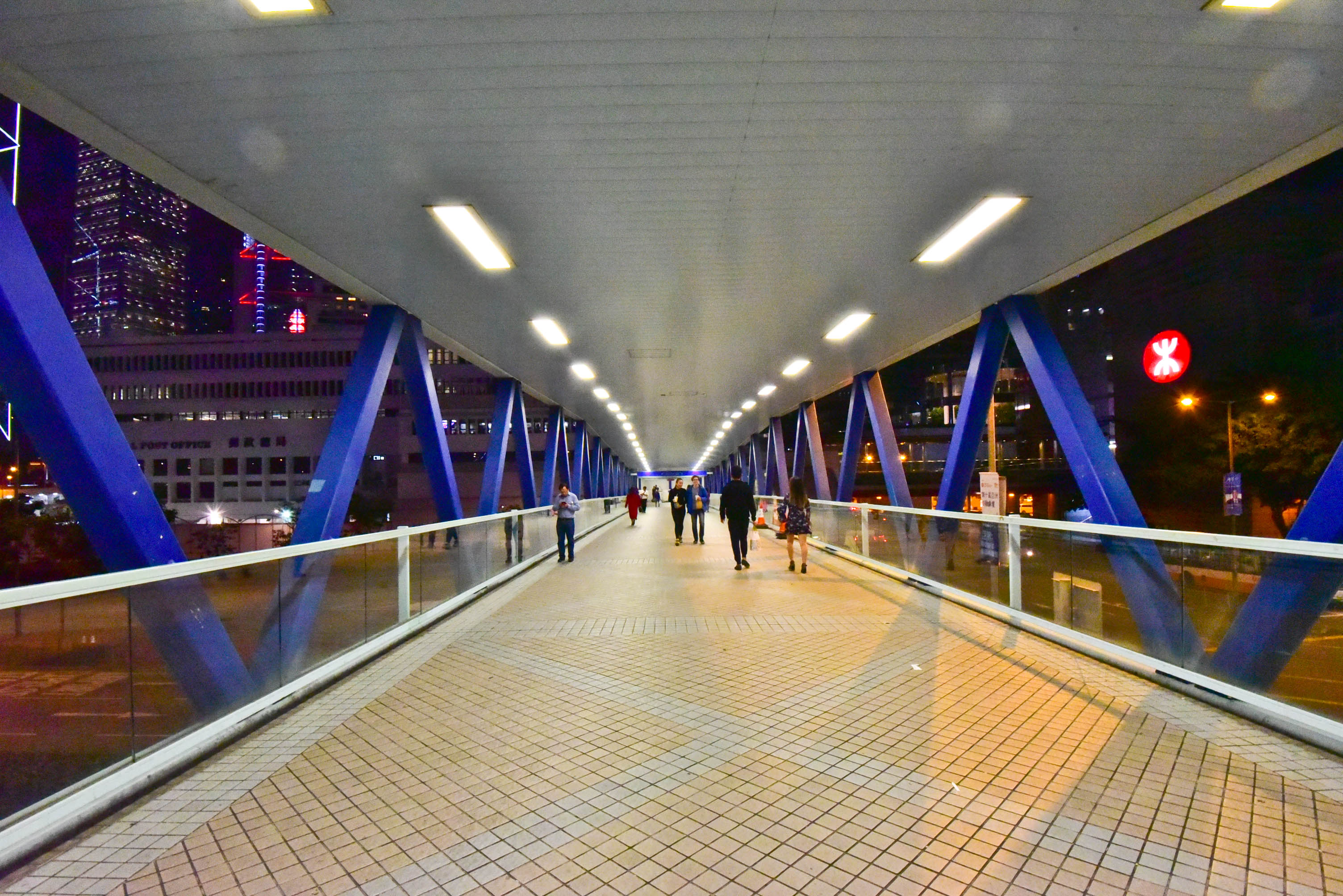 兔子游云南,兔子游老君山视频