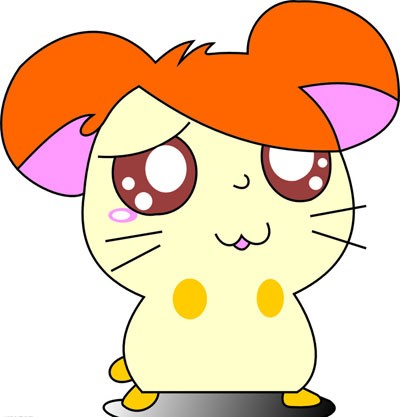 老鼠存一年的花生被车主发现,老鼠存花生被车主发现