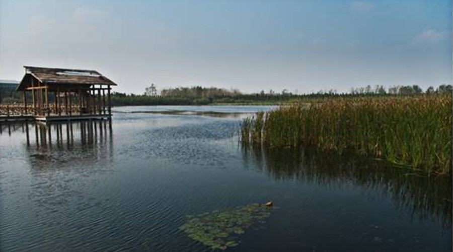 中国足球小将特训营,足球小将暑期特训营