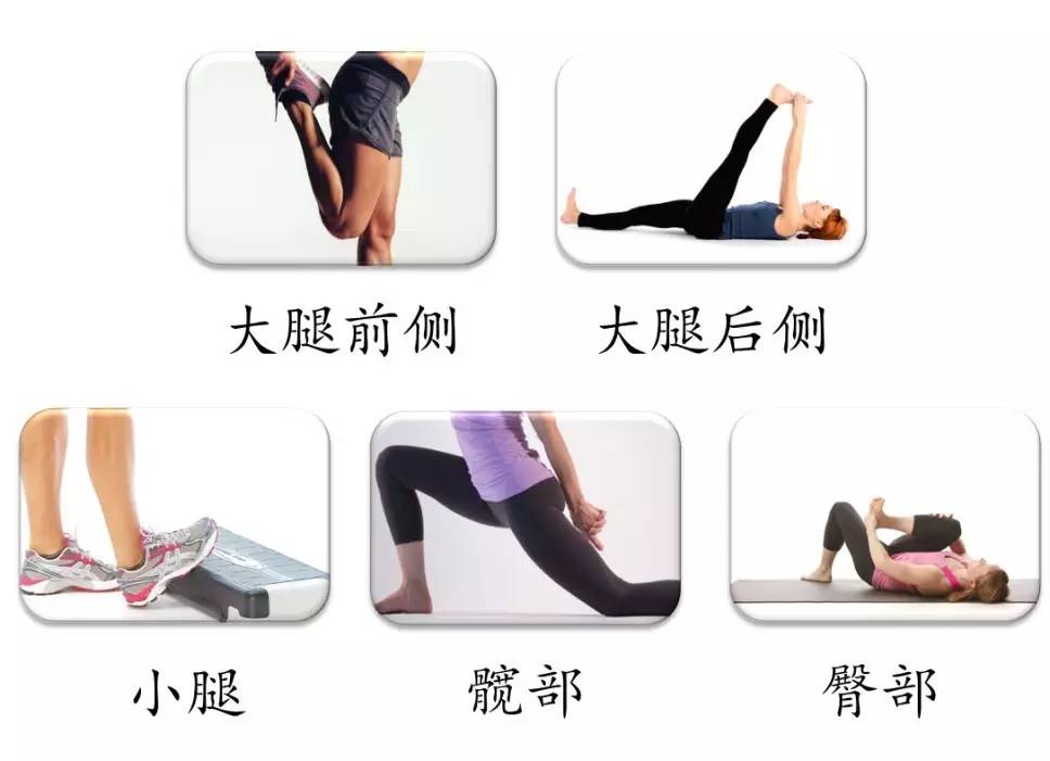 跑后正确拉伸动作教程避免粗腿,如何短跑后拉伸