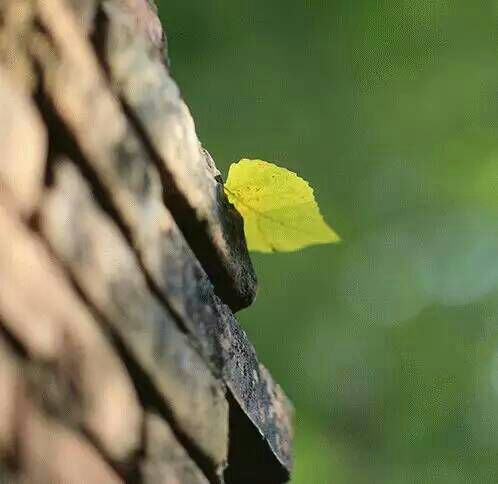 看完这些摄影作品点评，你的摄影技能会有大幅提升