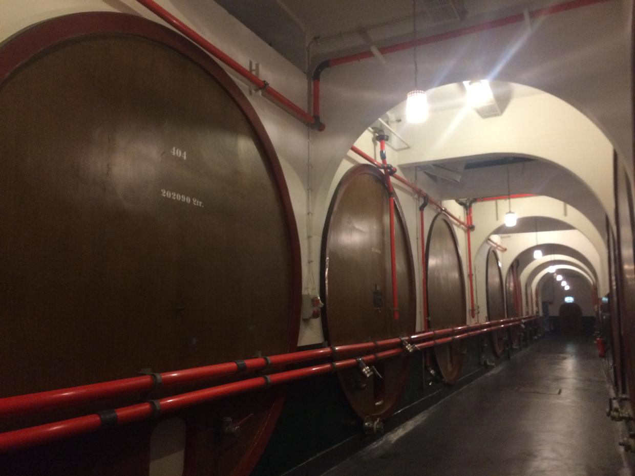 去德国旅游的游记,德国和奥地利游记攻略