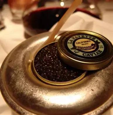 深海鱼子酱的功效与作用,来自深海的鱼完整版