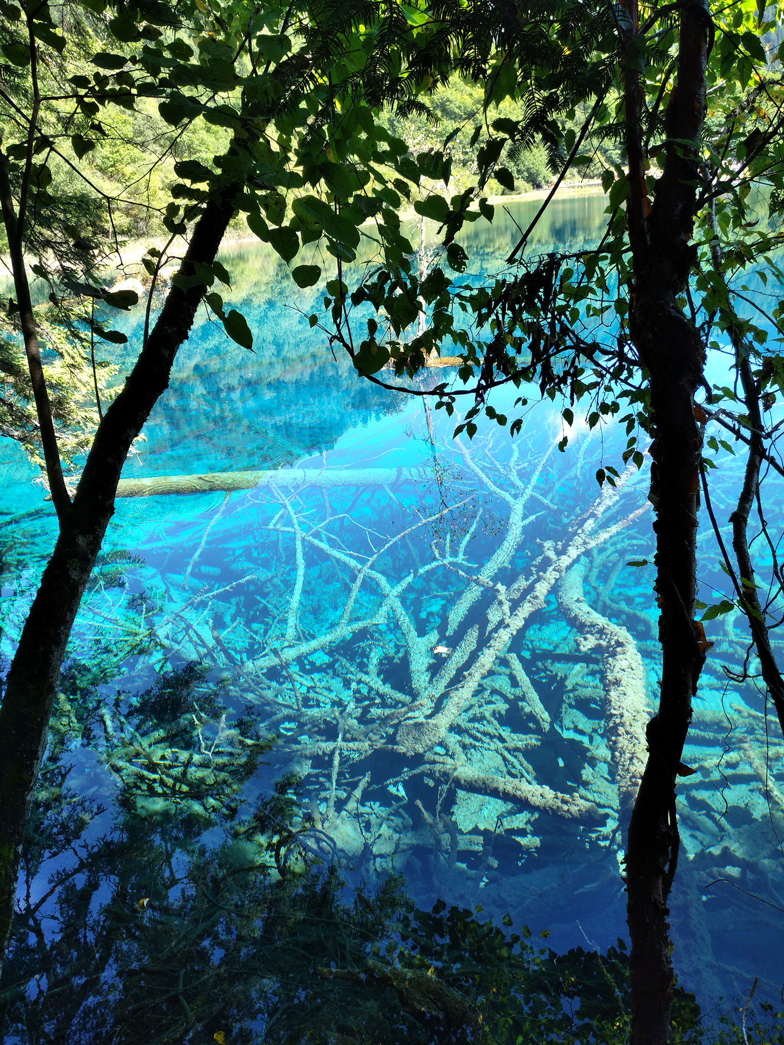 宁夏到陕西的沿途旅游,从宁夏自驾游到重庆多长时间