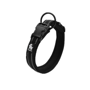 怎样分辨狗宝宝性格怎么样,怎么挑选好的狗宝宝