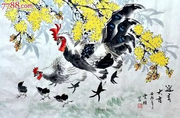 你知道有关鸡的成语吗,关于鸡的成语四字成语