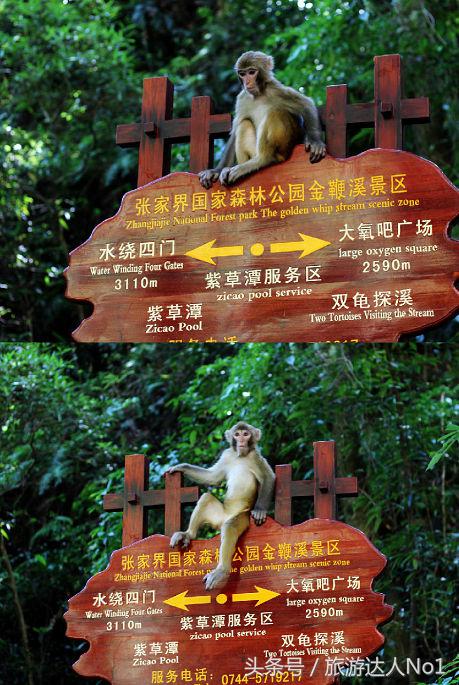 周末旅游攻略,旅游攻略让你的旅行轻松又美好