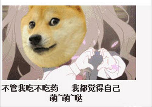 狗狗心脏肥大需要长期服药吗,狗狗用药注意事项有哪些