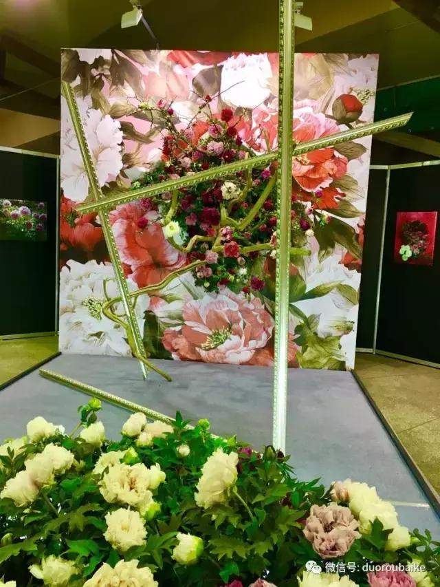 台湾寻肉之旅：小玲带你逛春节的台北花市！