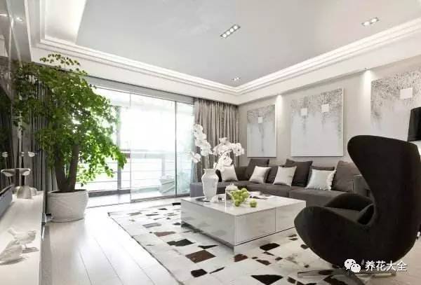 过年年宵花好卖吗,过年摆的年宵花有哪些