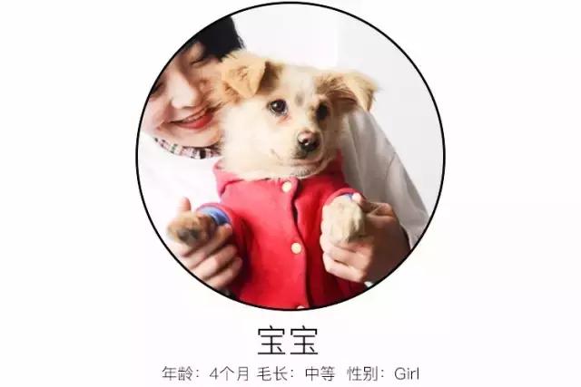 免洗泡沫十大排行榜,免洗泡沫洗手液测评