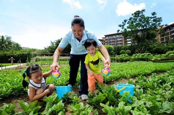 「资讯」亚龙湾红树林荣获2016中国旅游饭店业优秀企业称号，荣膺携程网年度多项大奖！
