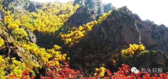 「关注」初一出门必看！过年去哪嗨26个字母带您玩遍包头好玩处！过年啦，带家人朋友逛起来！