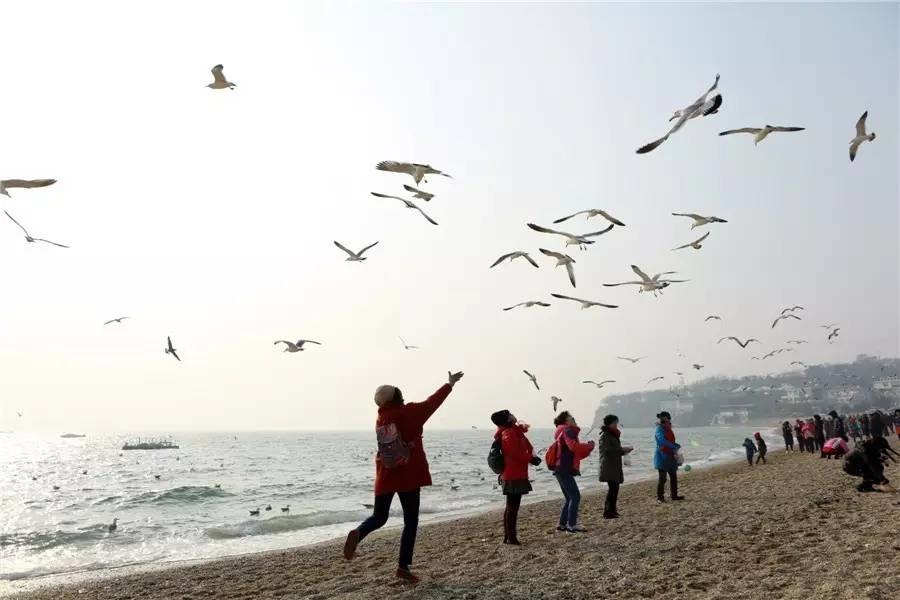 大连冬季小众景点有哪些,大连冬季必去景点推荐攻略