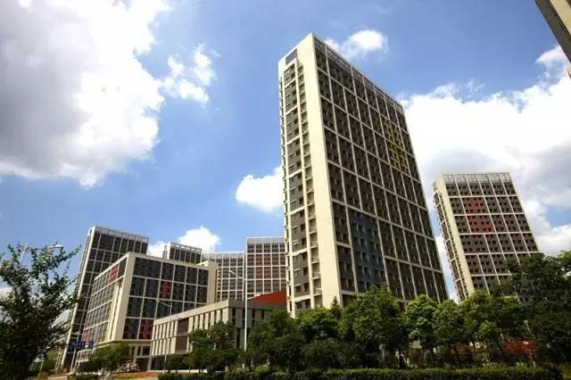 软件公司给客户拜年祝福,软件谷实现一季度开门红