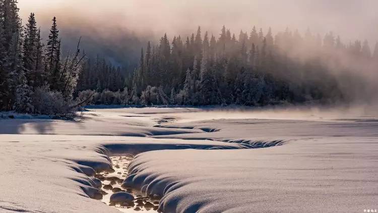 最新喀纳斯禾木视频,新疆喀纳斯禾木冬天视频