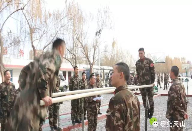 丰富警营文化有哪些活动,警营文化活动实施方案