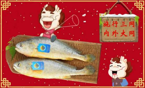 福建宁德市三都大黄鱼,宁德三都港大黄鱼