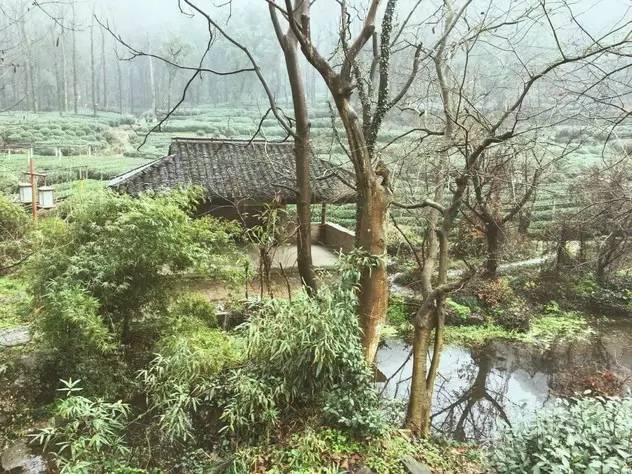 超实用杭州旅行全攻略,杭州攻略推荐