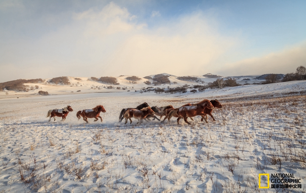 趁冬天还没有来临之前去一趟,一起到坝上去看雪